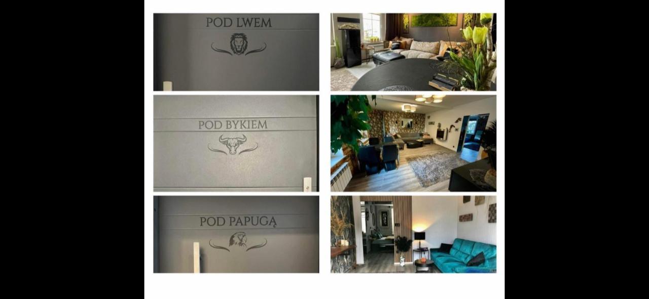 Apartmán Pod Lwem Kościerzyna Exteriér fotografie